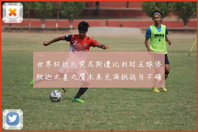 世界杯巡礼突尼斯遭比利时五球惨败迦太基之鹰未来充满挑战与不确定性